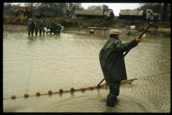 [Pêche dans un étang de la Dombes, Lapeyrouse]