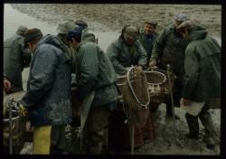 [Pêche dans un étang de la Dombes, Lapeyrouse]