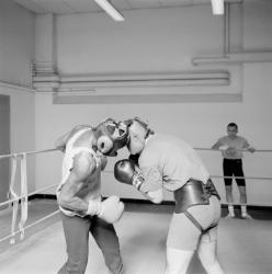 [Boxe. Entrainement de Fabrice Tiozzo]