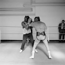 [Boxe. Entrainement de Fabrice Tiozzo]