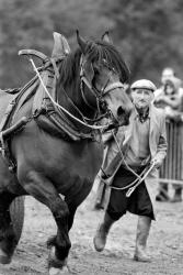 [11e Fête du cheval de Morancé (1991)]