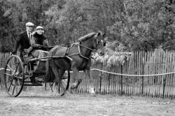 [11e Fête du cheval de Morancé (1991)]