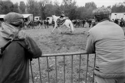 [11e Fête du cheval de Morancé (1991)]