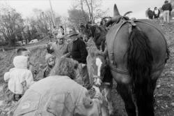 [11e Fête du cheval de Morancé (1991)]