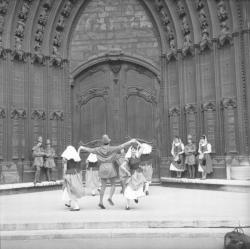 Les Damoiseaux, groupe folklorique lyonnais