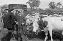 [Foire de Nervieux (1950)]