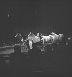Cirque Rancy et sa ménagerie