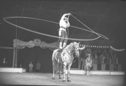 Spectacle de cirque
