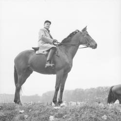 M. Morel Journel : entraînement concours hippiques