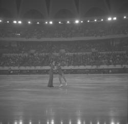 Championnat de patinage au Palais des Sports