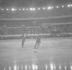 Championnat de patinage au Palais des Sports