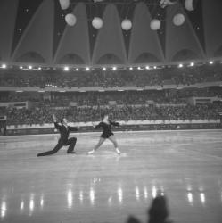 Palais des Sports de Gerland : patinage artistique avec remise de prix