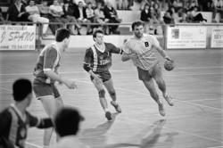 [Handball : Villeurbanne handball club - SLUC Nancy handball]