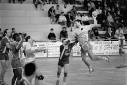 [Handball : Villeurbanne handball club - SLUC Nancy handball]