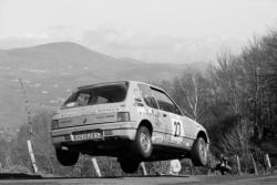 [43e Rallye automobile Lyon-Charbonnières (1991)]