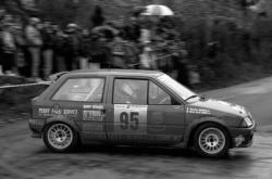 [43e Rallye automobile Lyon-Charbonnières (1991)]