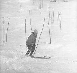 Ski sur neige