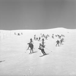 Ski sur neige