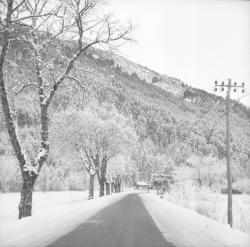 [La Neige dans les Alpes-de-Haute-Provence]