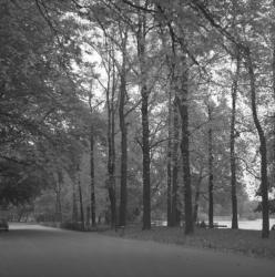 Le parc de la Tête-d'Or