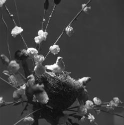 Etablissements Minet : exposition d'étoffes et de soieries