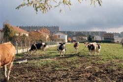 [Commune de Saint-Priest (Rhône)]