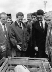 [Foire agricole de Beaucroissant (1988)]