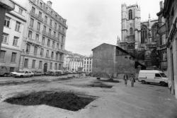 [Abattage des platanes de l'avenue Adolphe-Max]