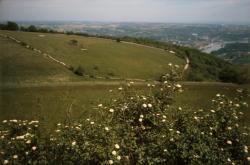 [Les Monts-d'Or (Rhône)]