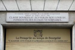 19, rue Bourgelat
