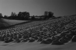 Paysage de campagne