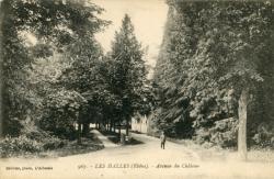 Les Halles (Rhône). - Avenue du Château