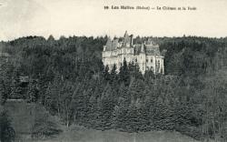 Les Halles (Rhône). - Le Château et la forêt