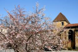 Château d'Ombreval, chapelle, Neuville-sur-Saône