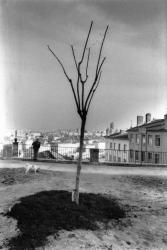 [Les plantations de la place Bellevue]