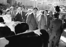 [1er concours de vaches laitières Frisonnes de Corbas (1986)]