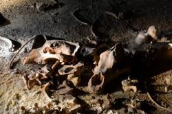 Grotte Chauvet 2, Vallon-Pont-d'Arc (Ardèche)