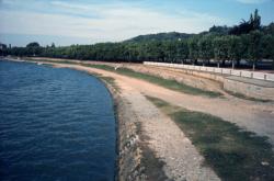 [Berges de la Saône à Neuville (Rhône)]