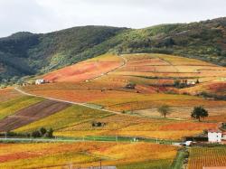 Mont Brouilly, Beaujolais