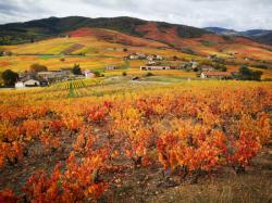 Mont Brouilly, Beaujolais