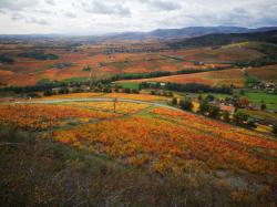 Mont Brouilly, Beaujolais