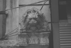 Les Lions de Lyon (sculptures)