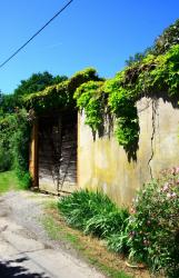 Chemin de la Carronnerie, Chasselay