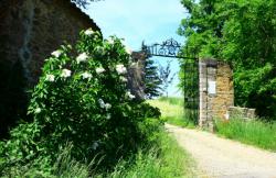 Château de Machy, Chasselay