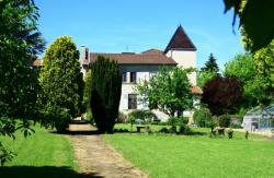 Château de Montluzin, Chasselay