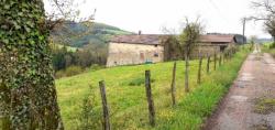 Chemin au Bois Dieu ; Saint Victor sur Rhins