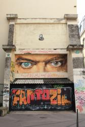 Fresque David Bowie, rue Neyret, Lyon 1er