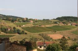 Vue sur les vignobles, Val d'Oingt