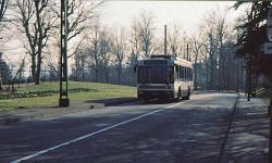 [Trolleybus (ligne 13)]