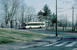 [Trolleybus (ligne 13)]